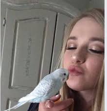 If the wind had taken me to you, I would have held tight to the skirts of  the wind. I miss you so much that I would fly to you faster than