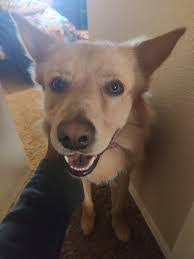 Timothy Hufford's Instagram, Twitter & Facebook