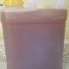 Sedot madu lebah kelulut langsung dari sarang di mandiangin, tahura sultan adam kabupaten banjar, kalsel. Jual Madu Murni Asli Kupang Ntt 1liter Di Lapak Dafit Sunarto Bukalapak
