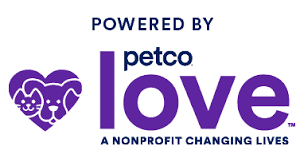 Image result for tbn:ANd9GcT9GTDvoeZslbTfRgc9SbtLfmHl15TvbB2vJ134_7_XnofUBeY3skxFMC8:https://www.doglife.sitew.com/fs/Root/5vdf8-5615663_chien_malade_sur_le_c_t_et_sur_fond_blanc.jpg