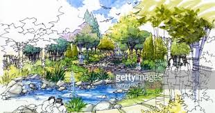 Image Result For Sketches Bamboo On Landscape Landscape Sketch Landscape Garden Landscaping