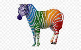 A story about diversity, zebert the rainbow striped zebra encourages tolerance while teaching acceptance of those who may look different. Other Clipart Colorful Zebra Rainbow Zebra Png Stand Out From The Crowd Zebra Zebra Png Free Transparent Png Images Pngaaa Com