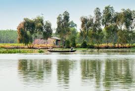 Những hình ảnh thơ đẹp trong bài Nhớ con sông quê hương - Áo kiểu đẹp