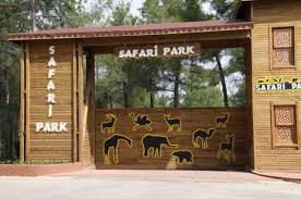 İstifadəçi adınızı və şifrənizi daxil edin. Safari Park Created In