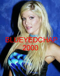 Image result for Torrie Wilson