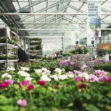 Kremer gutschein für juni 2021: Garten Center Kremer Gmbh Home Facebook