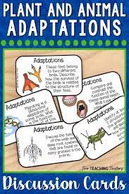 This Science Activity Lets Students Interact With And Support Their Peers As They Respon Animal Adaptations Adaptations Activities Plant And Animal Adaptations