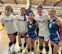 VolleyStar Volleyball...