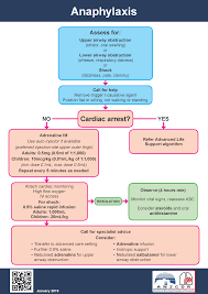 anaphylaxis