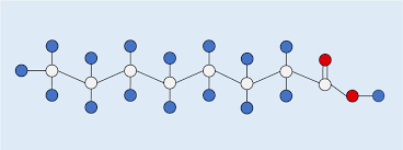 Image result for Fatty Acid