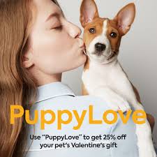 testimonial⁠ ⁠ My Great Dane, Benson, is now 11 years old. Overall⁠ his  health is still great but we have noticed that his back legs aren't as  strong as they used to