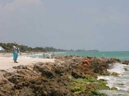 Caspersen Beach Parking Venice Fl