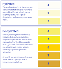 Time To Talk About The Colour Of Your Pee Hydratem8
