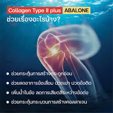 WELL U Collagen Type ll Plus Abalone สารสกัดจากหอยเป๋าฮื้อ บำรุงข้อเข่า  100g.