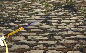 Une Torche Au Propane Pour Bruler Les Mauvaises Garden Tools