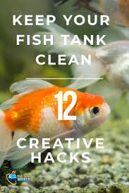 This is a detailed video. There Is A Fine Line Between Large Scale Cleaning And Optimum Cleaning Here Are 12 Hacks That You Can Do To Reduce Fish Tank Cleaning Cleaning Fish Fish Tank