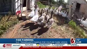 We serve adults, ages 18 and older with diagnoses of. Northeast Kingdom Duck Farmer Influencer Finds Fame On Youtube