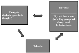 PIER: A Clinical/Epidemiologic System for Prevention of Psychosis (Chapter  14)