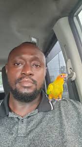 Baba's Aquatics Plus JA (Handfeeding Medz) Tame and Train