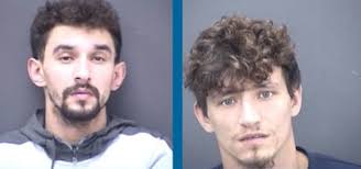 Dorset men jailed for mutilating wild animals