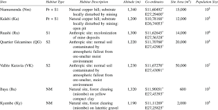 Image result for Crepidorhopalon tenuis