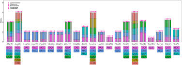 Image result for Lagenaria abyssinica