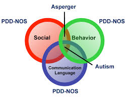 Autism Spectrum Disorder Asd Special Needs