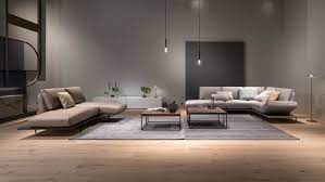 Rolf Benz Aura Living Room Design Modern Living Room Designs Living Room
