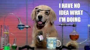 During My Science Exam I Was As Naive And Clueless Of What I Was Doing As The Dog In The Picture Science Memes Funny Dog Memes Science Humor