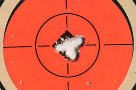 223 And 308 Bullet Drop And Sighting In The Blog Of The