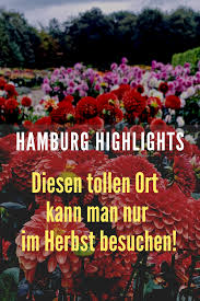Hamburg Im Herbst Warum Ihr Das Florale Feuerwerk Im Dahliengarten Sehen Musst Elbville Hamburg Geheimtipp Hamburg Hamburg Reise