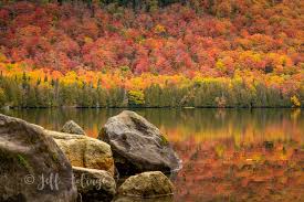 Taking the mystery out of finding peak fall foliage
