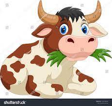 Cute Cartoon Cow Eating Grasscartoon Cute Cow Grass Cartoon Cow Cartoon Clip Art Cow Clipart