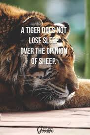 Manly Lifestyle Tiger Quotes Success Quotes And Sayings Motivational Memes