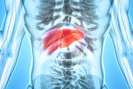 Some people or animals with hepatitis have no symptoms, whereas others develop yellow discoloration of the skin and whites of the eyes (jaundice), poor appetite, vomiting, tiredness, abdominal pain, and diarrhea. Hepatitis A B And C An Overview Mydr Com Au