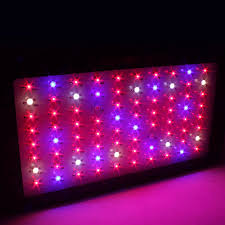 Best Led Grow Light For All Stages Of Growth 2020 Reviews