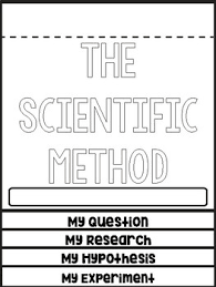 Scientific Method Flip Book Worksheets Teaching Resources