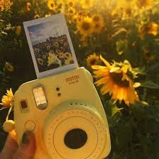 Scarica gratis aesthetics e sfondi aesthetic giallo wattpad. Pin By Shana Neko On My Best Summer Yellow Aesthetic Aesthetic Colors Yellow Aesthetic Pastel