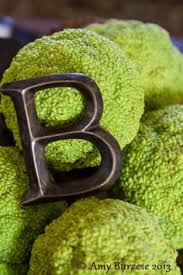 Image result for hedge apples