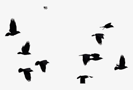 We did not find results for: Bird Cut Out Photoshop 904x475 Png Download Pngkit