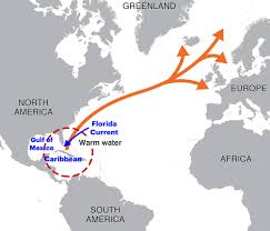 Proceeds through the straits of florida. Let S Talk About The Gulf Stream Scuttlebutt Sailing News