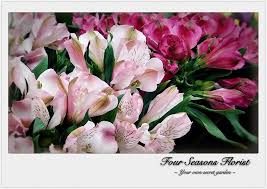We did not find results for: Four Seasons Florist Home Facebook