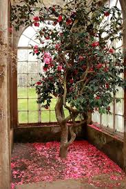 Camellia House Winter Garden Natural Home Decor Beautiful Gardens