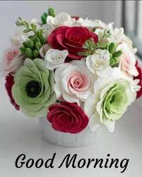 Gd mrng good morning flowers pictures for whatsapp. Beautiful Free Good Morning Wallpaper Good Morning Pics For Whatsapp Sweet Cute Good Mo Good Morning Flowers Good Morning Images Flowers Good Morning Roses