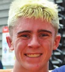 23 dogs seized in two incidents