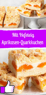 Aprikosen Quarkkuchen Mit Streuseln Rezept Aprikosen Streuselkuchen Quarkkuchen Hefeteig Kuchen
