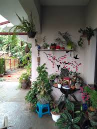 Maybe you would like to learn more about one of these? Adapting To Shade In A Tropical Garden Finegardening