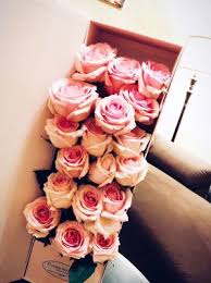 We also provide flower delivery to the surrounding areas, such as, alviso, campbell, cupertino, los gatos, milpitas, san jose, santa clara, saratoga, sunnyvale. Flower Wonders Closed 343 Photos 34 Reviews Florists 3055 Manuel Lp San Jose Ca Phone Number Yelp