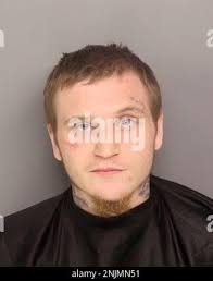 This photo provided by Greenville County Sheriff's Office, shows Logan  Alexander Holmes. Police say an investigation into two brothers for a  killing in South Carolina led to videos of them and others