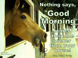 Nothing Says Good Morning Better Than The Nicker From Your Horse Inspirational Horse Quotes Horse Quotes Horses